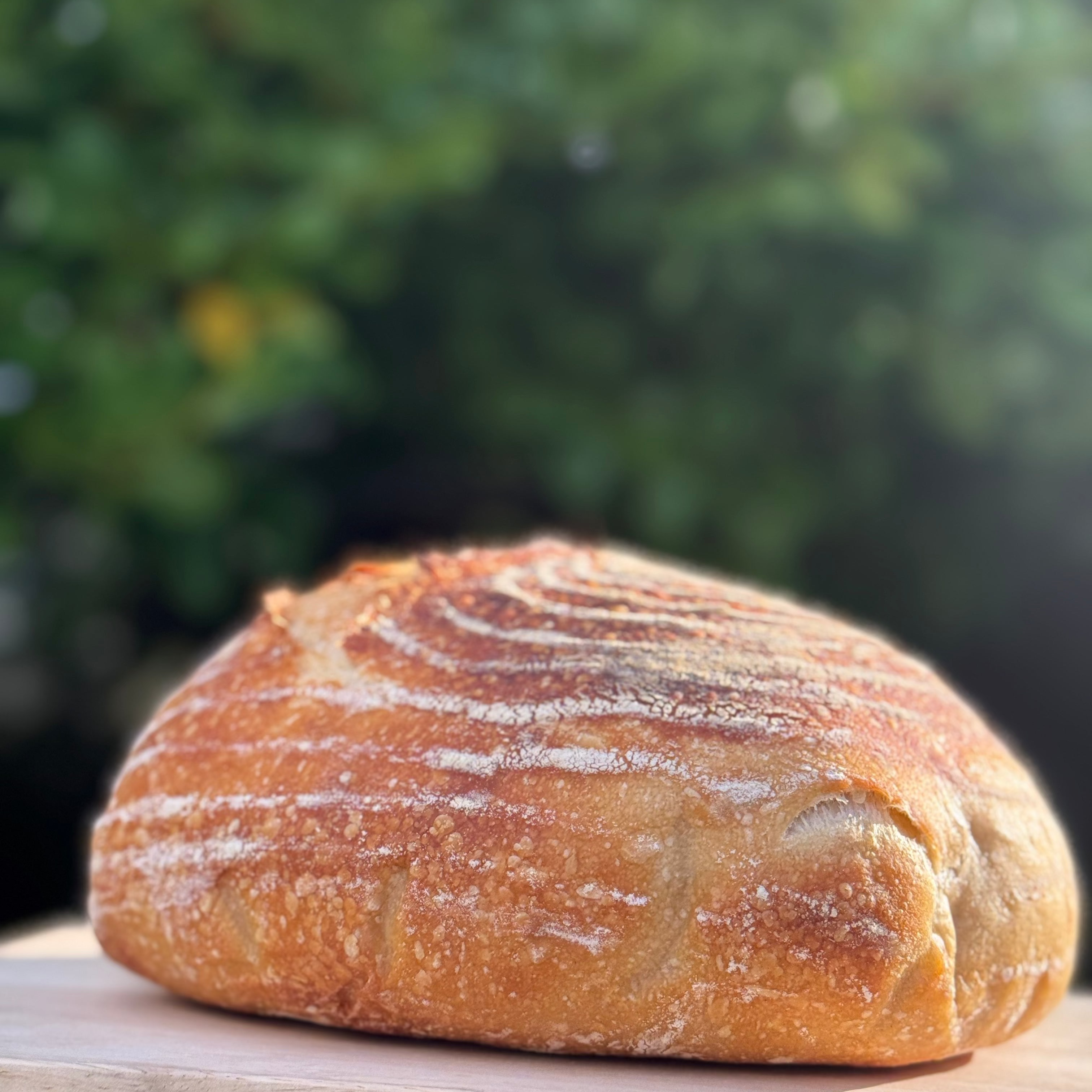 Sourdough Loaf.